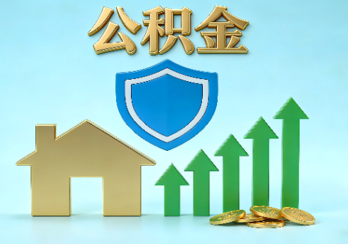 定安当前住房公积金提取条件分类指南与政策趋势